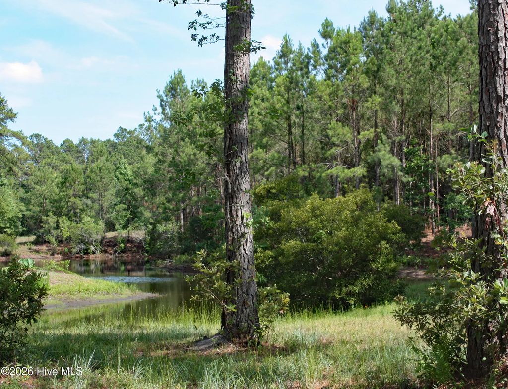 738 Highgate Place Sw, Ocean Isle Beach Mainland