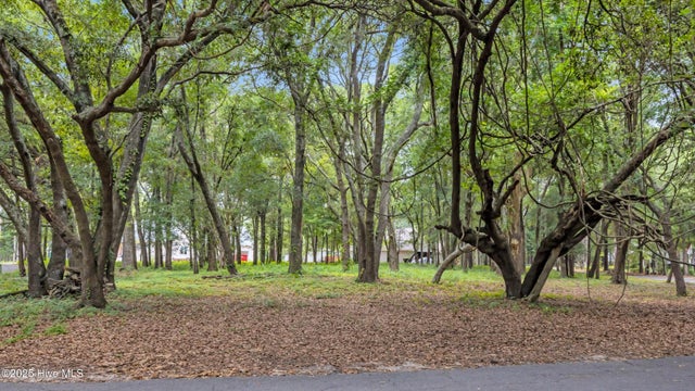 1900 Egret Street Sw, Shallotte