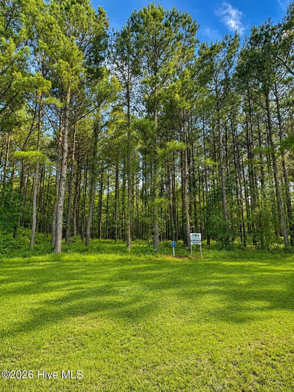 117 Colleton Circle, Edenton