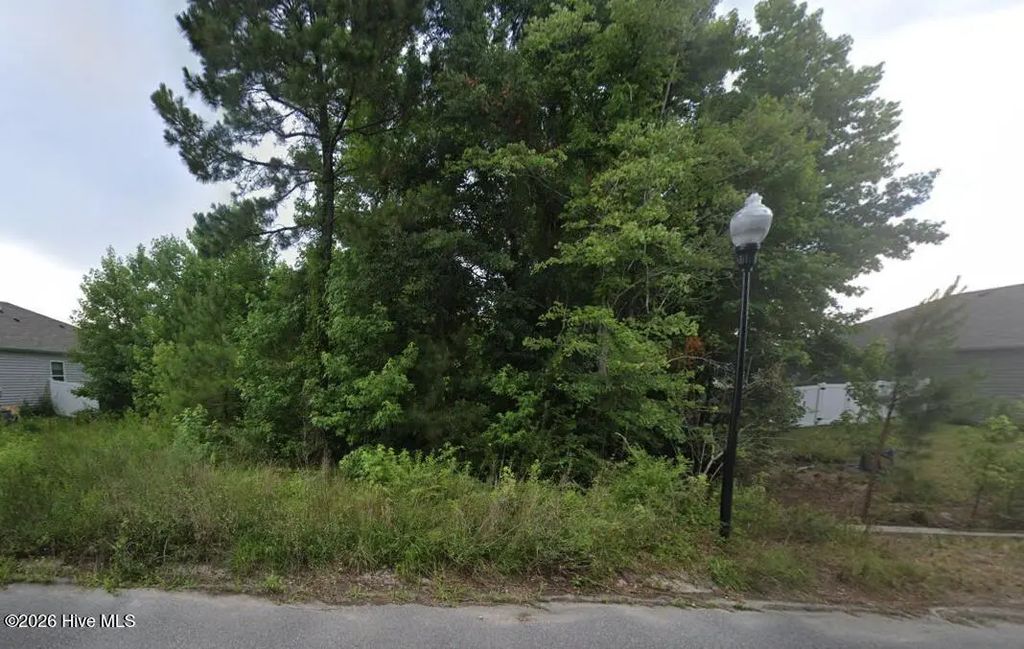 1350 Cadbury Castle Drive Se, Bolivia
