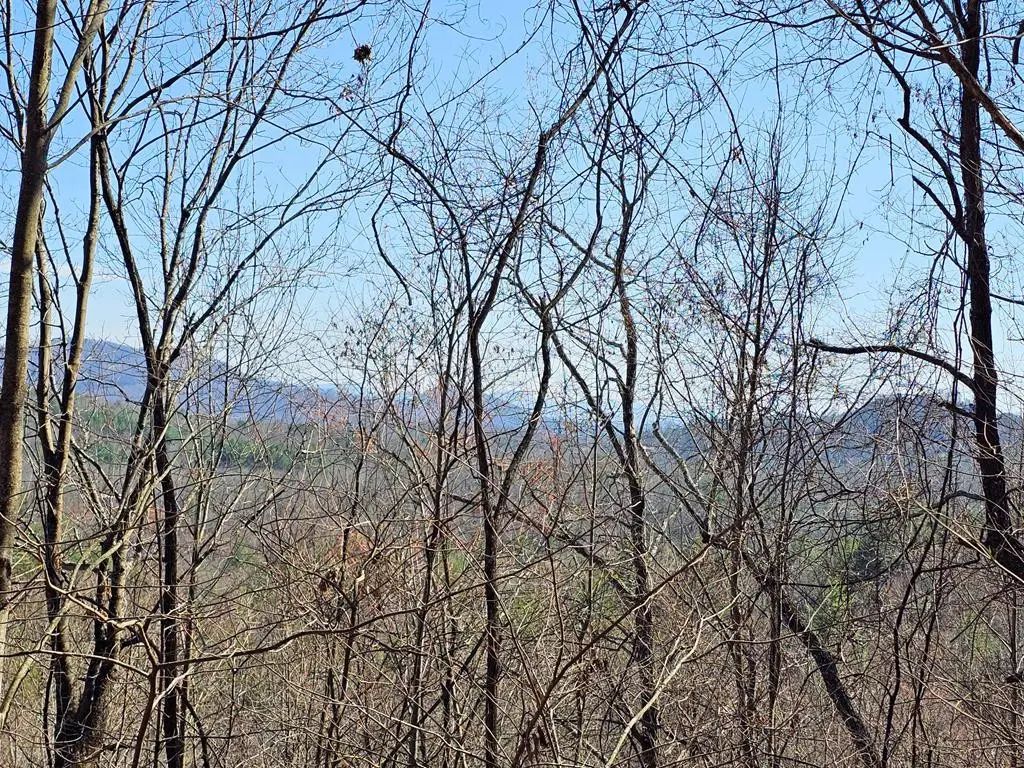 Lot 39 Merlin Trl / Warbler Road, Hot House