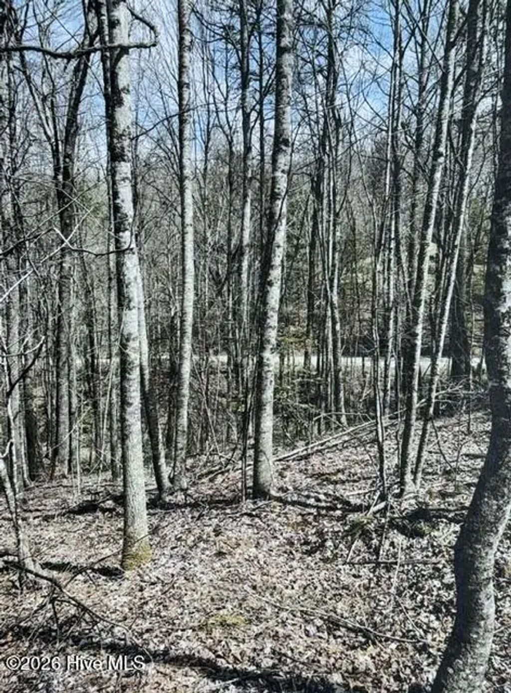 11a 11b Hidden Lakes Road, Nantahala