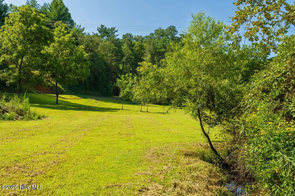 45 Green Cove Road, Brasstown