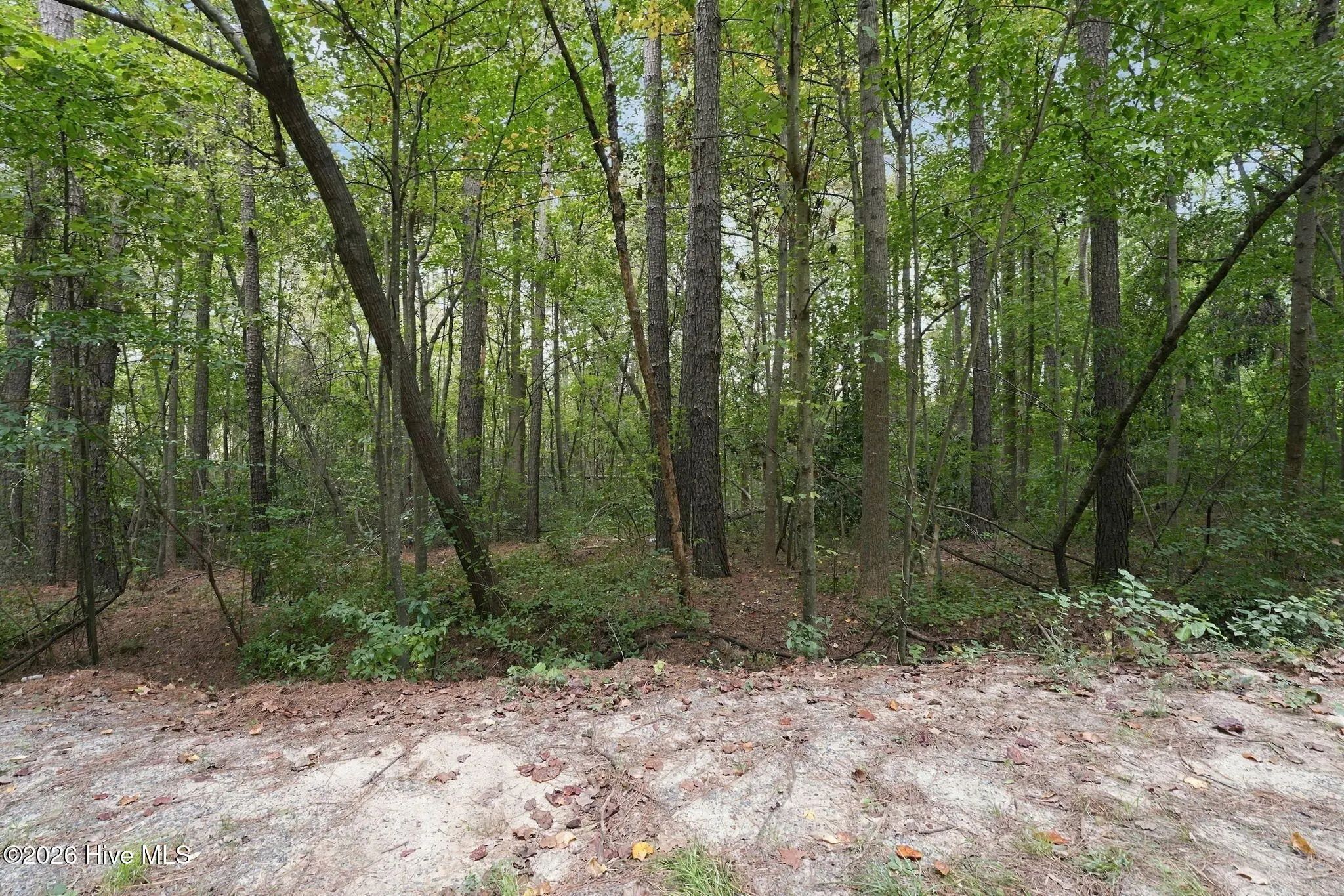 134 Bellhaven Drive, Carthage
