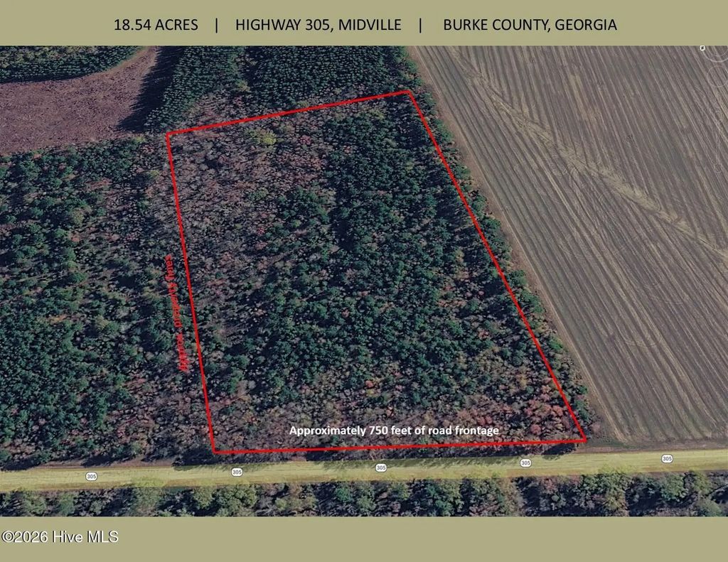 18.5 Acres Georgia 305 Highway, Midville
