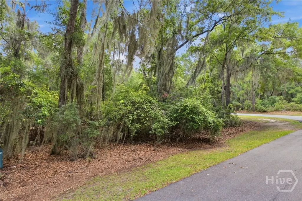 Lot 67 Ne Delegal Drive, Townsend