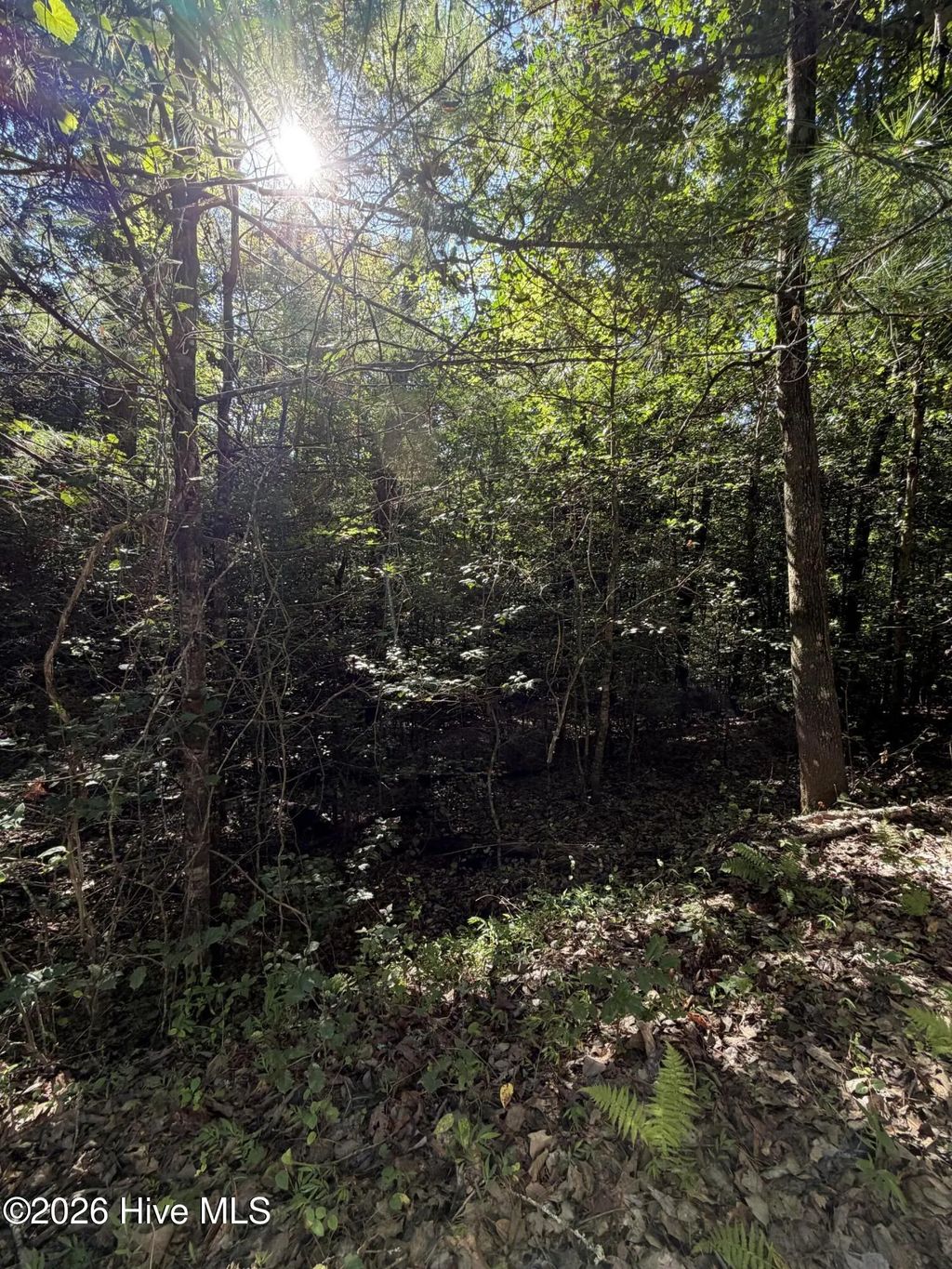 0 Explorer Ridge, Murphy