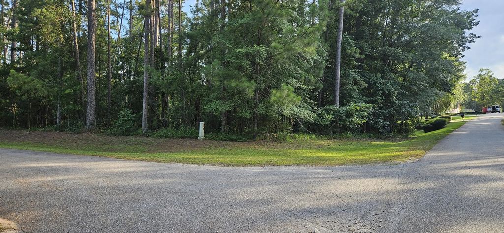 Bl 6 Lot 9 Davis Drive, McCormick