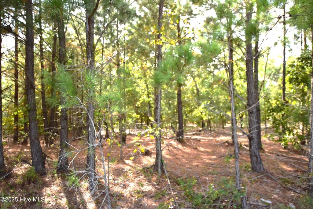 1035 Mill Road, Jackson Springs