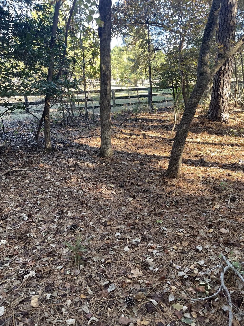 N/A, Foxfire Village