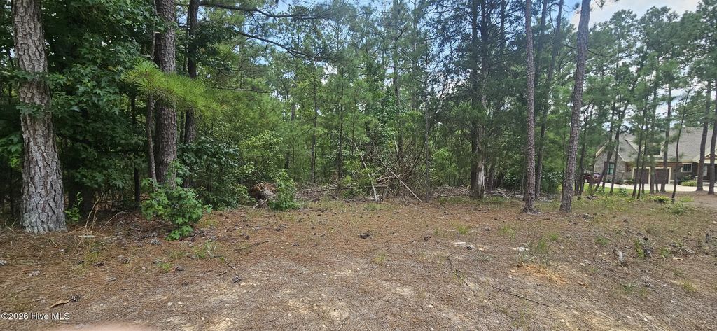 Lot 2 Amelia Drive, McCormick