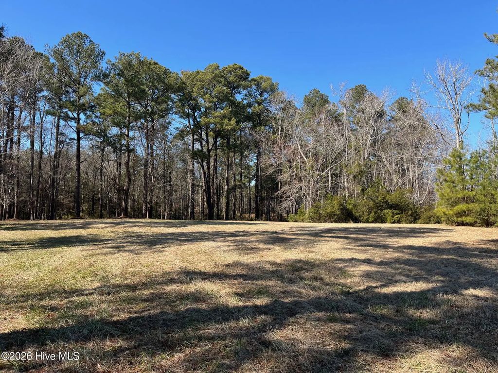 62 Currituck Court, Oriental
