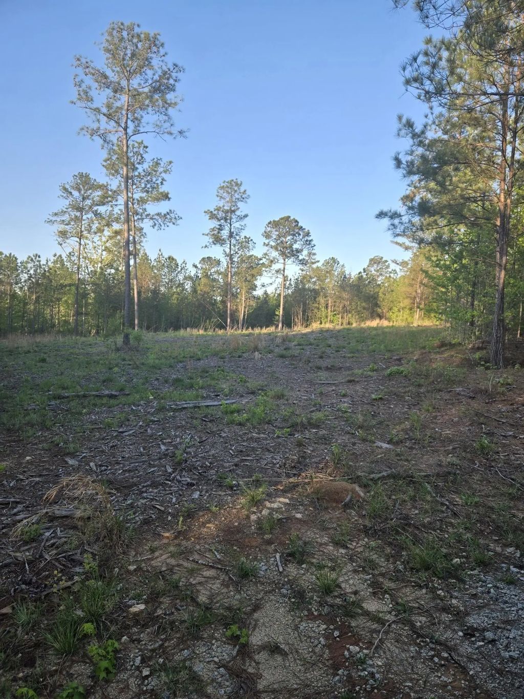 12 Sweetgum Drive, Lincolnton
