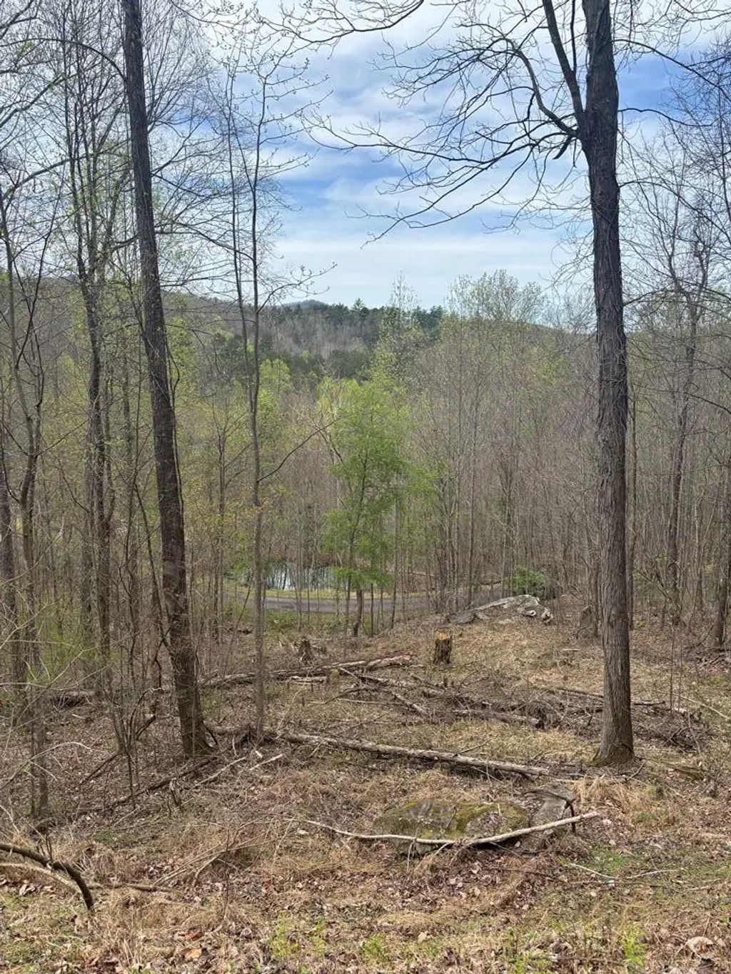 Lot 4 Buck Ridge Drive, Ranger
