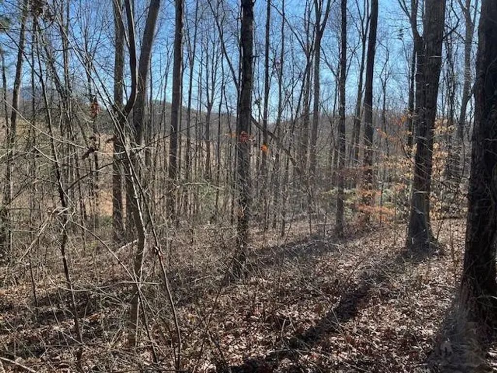 Lot 2e The Woodlands, Hayesville