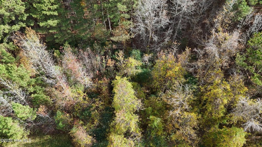 0000 Sr 1100, Blounts Creek