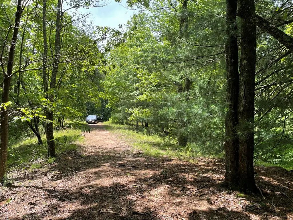 21 Collett Woods Trail, Andrews