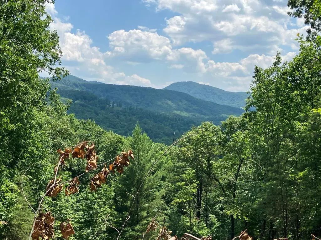 Lot 14 View Ridge Trail, Murphy