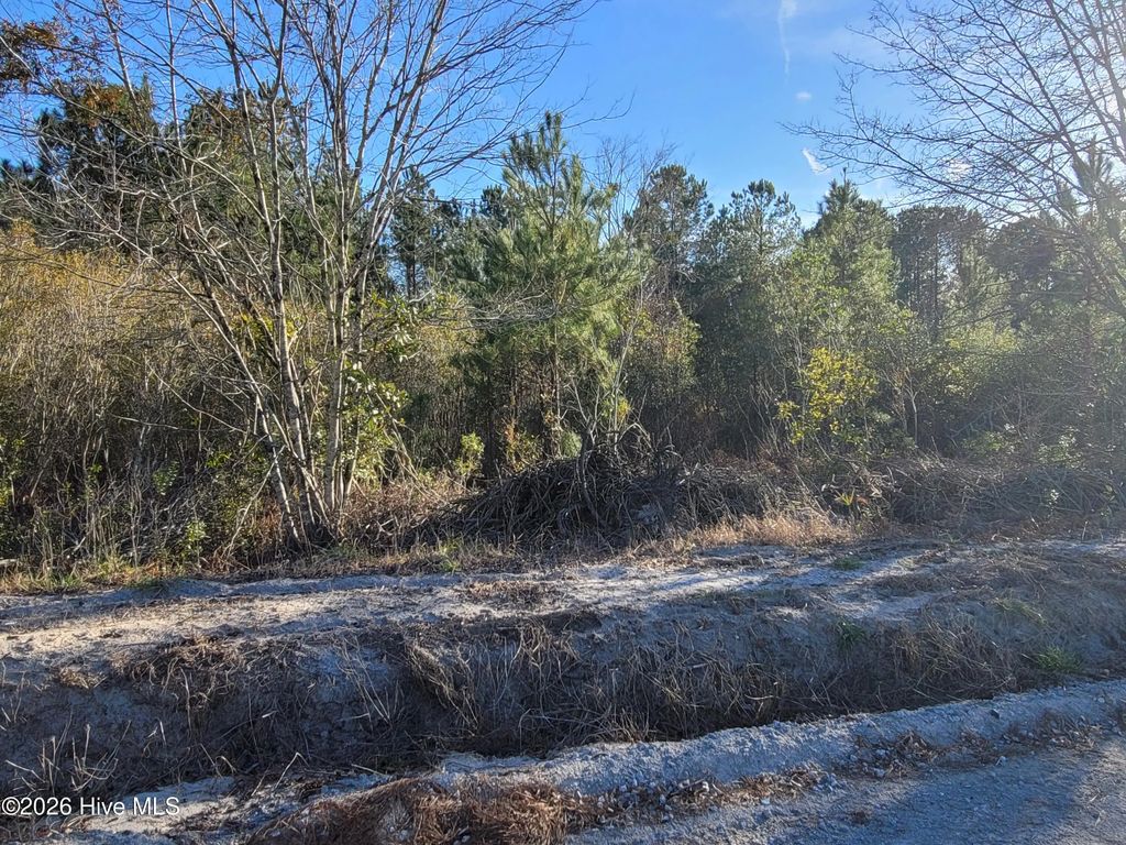 Lot 2 Auburn Drive, Loris