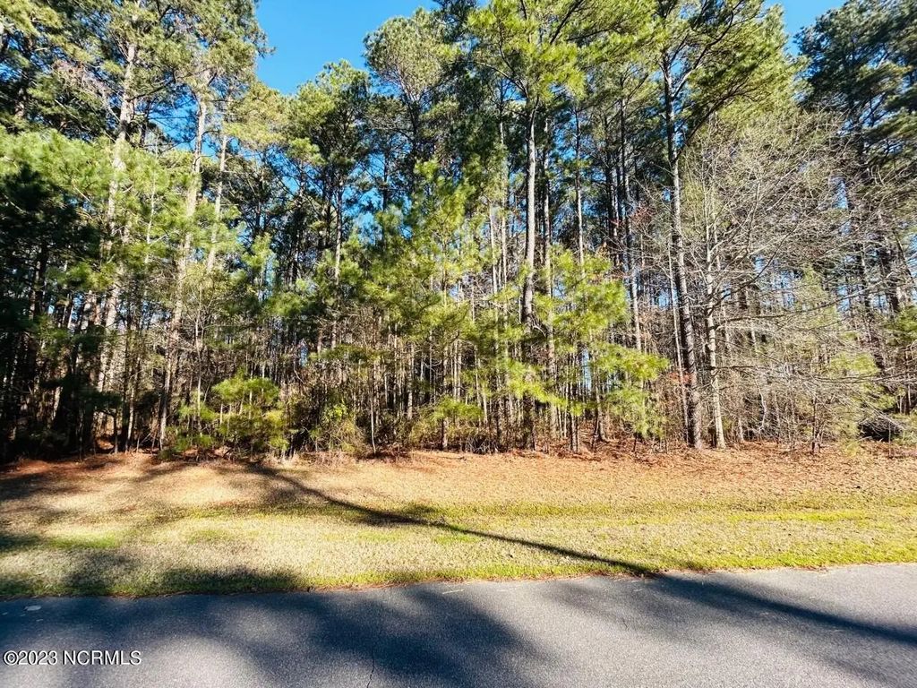 137 Indian Town Creek Drive, Hertford