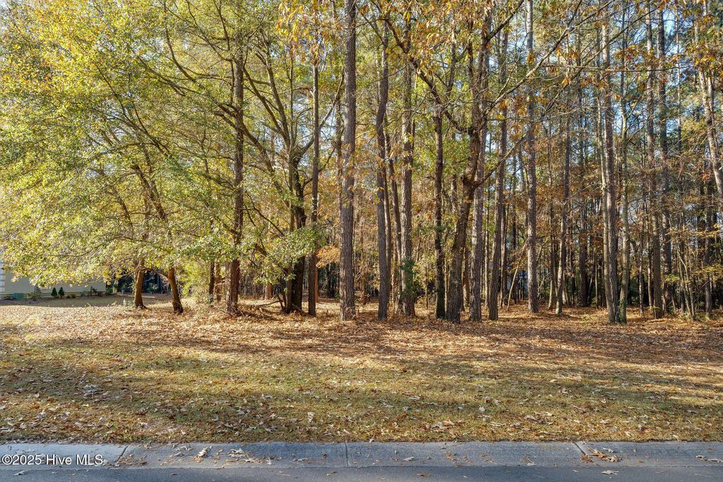 266 Red Fox Run Drive, Wilmington
