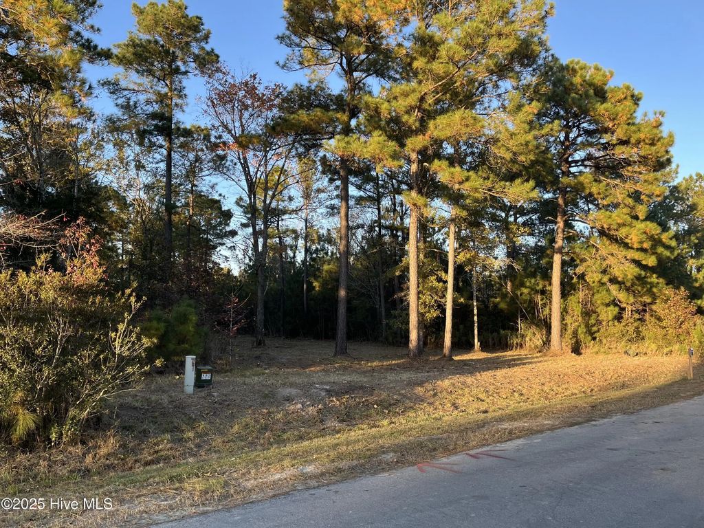 625 Vandemere Creek Drive, Vandemere
