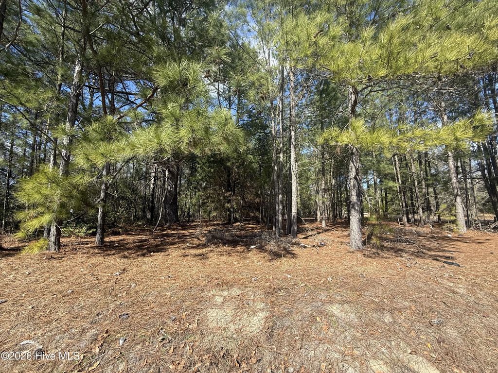 Tbd Mizpah Road, Rockingham