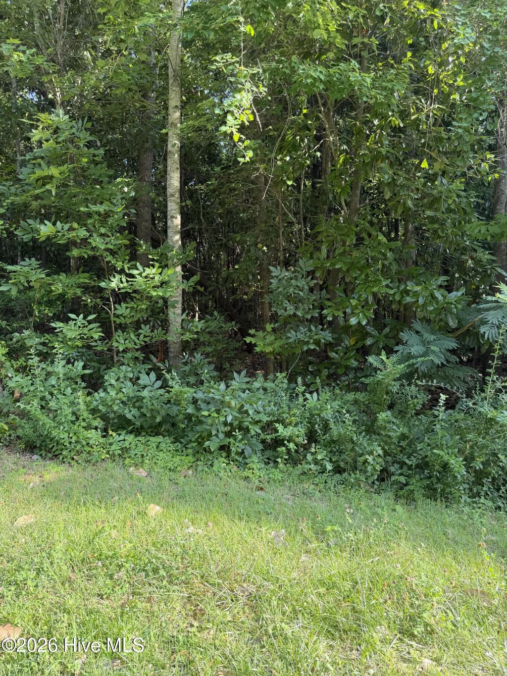 1187 Green Springs Road, New Bern