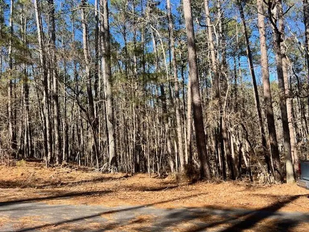0 Oconee Lane, McCormick