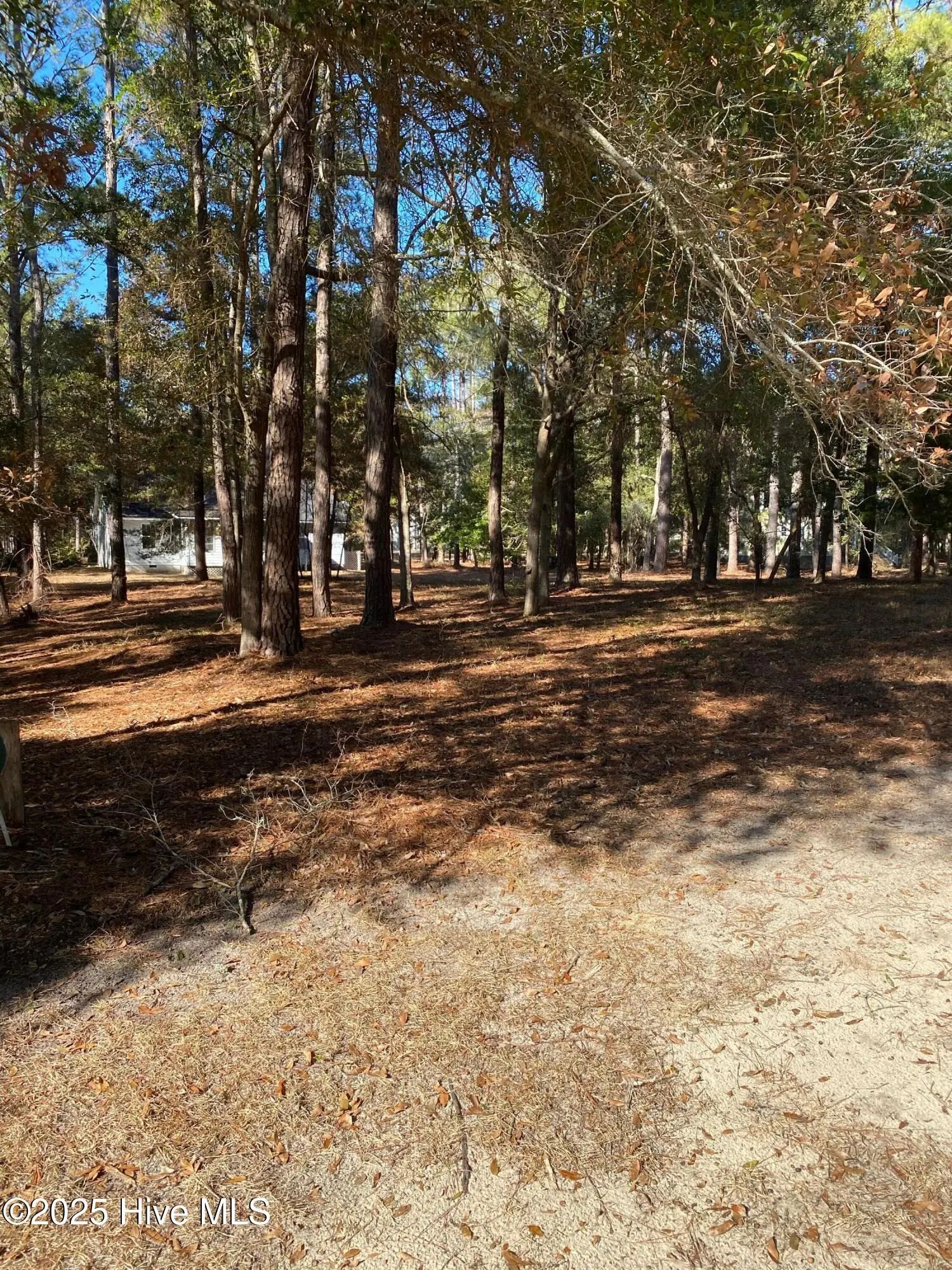 664 Cypress Grove Court Se, Bolivia