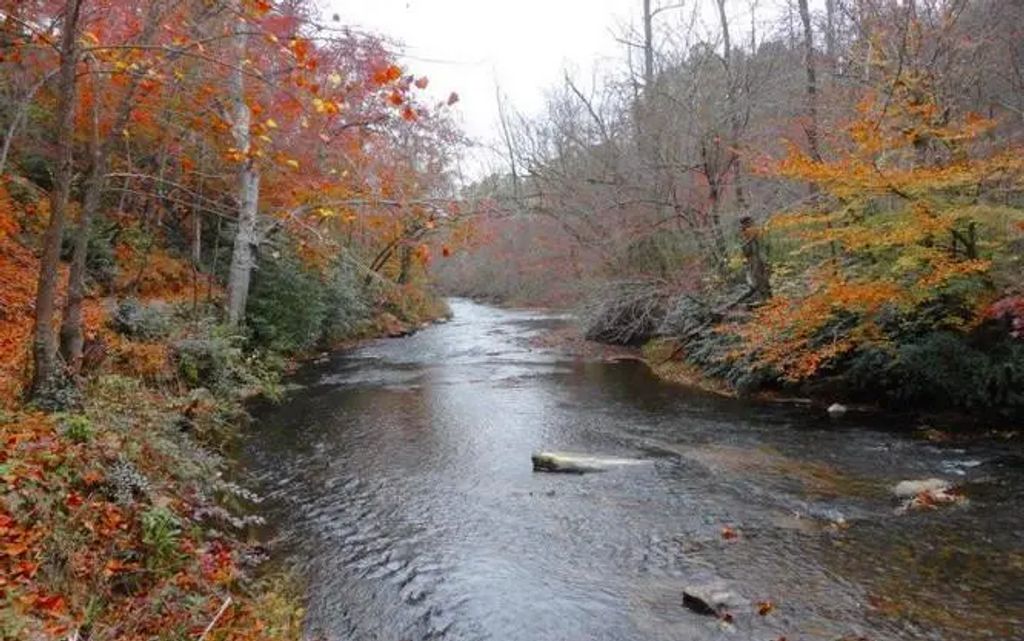 Lot 56 Brasstown Trails, Warne