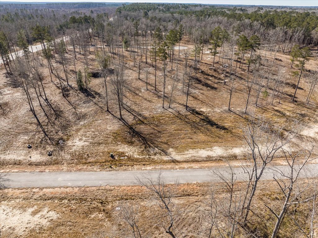 141 Alcovy Road, McDuffie