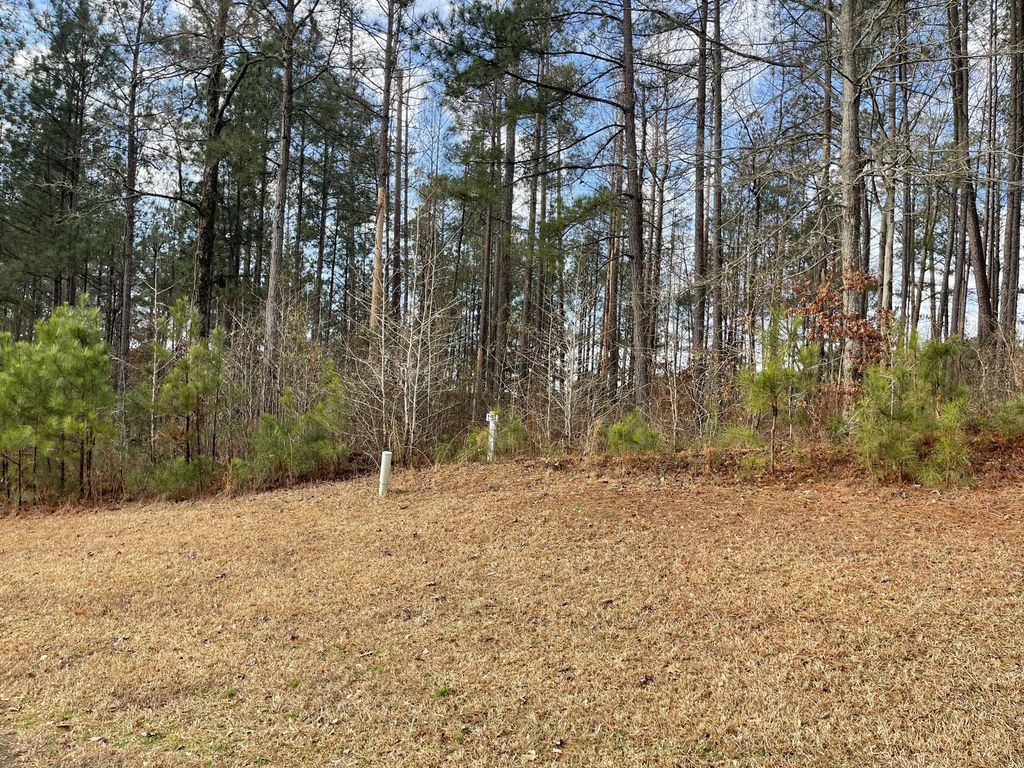 Lot L-22 Militia Loop, Edgefield