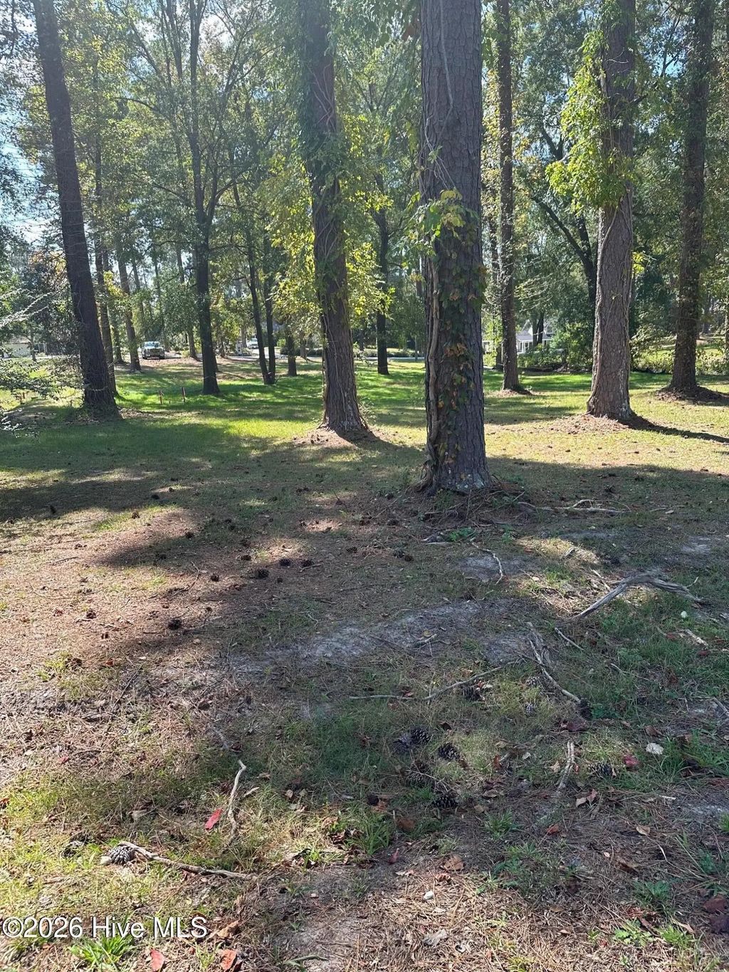 293 Nw South Lake Drive, McDuffie