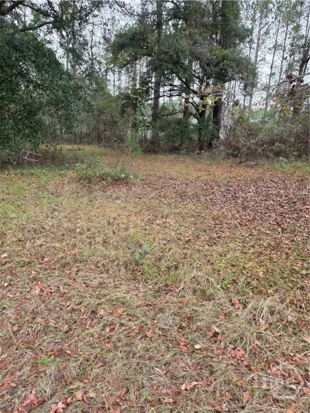 861 Brinson Road, Brooklet