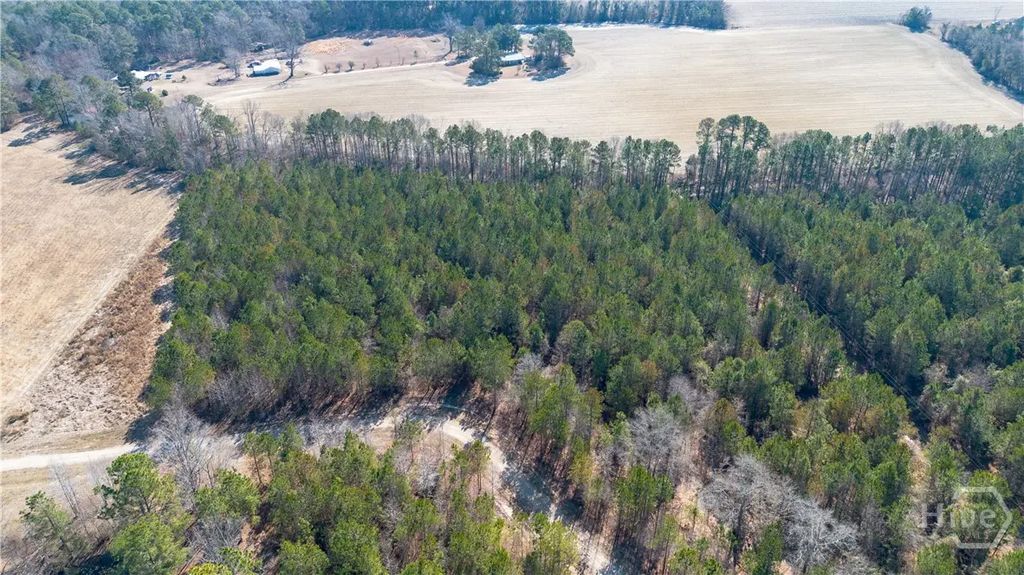 0 Clifton Rd- Lot 1, Statesboro
