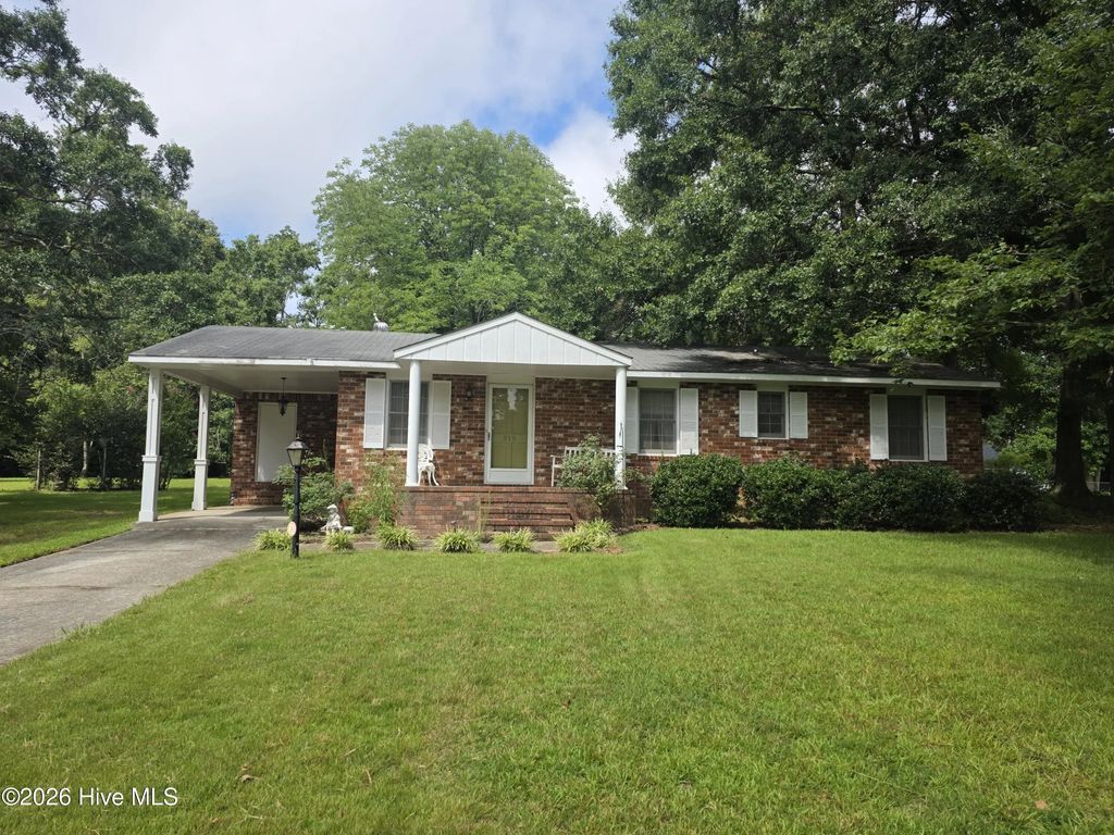 919 Aelise Street, McDuffie