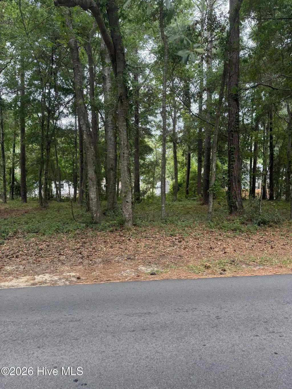 9042 Ocean Harbour Golf Club Road Sw, Calabash