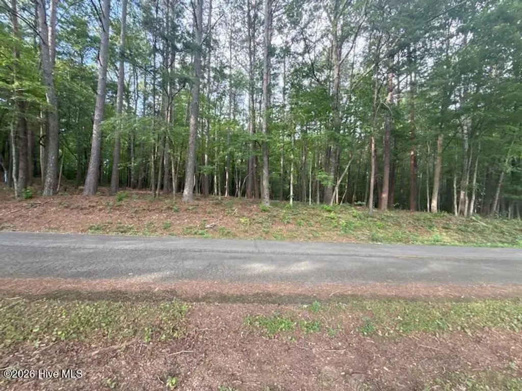 Lot 4 Tennessee 68, Turtletown