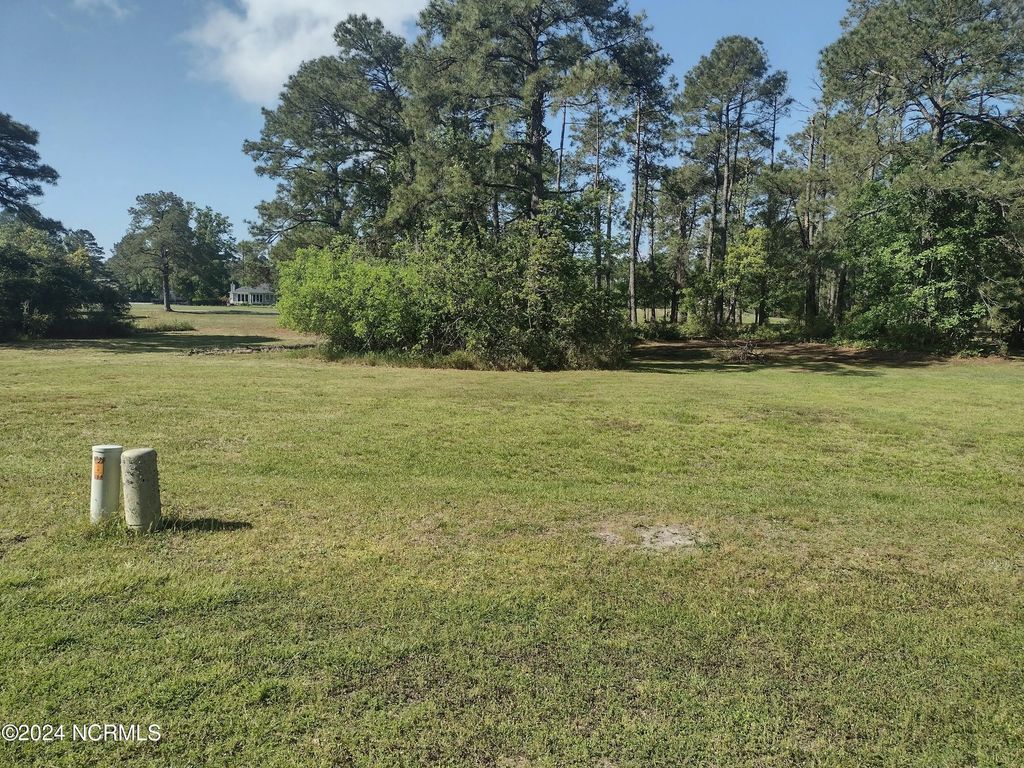 1731 Caracara Drive, New Bern