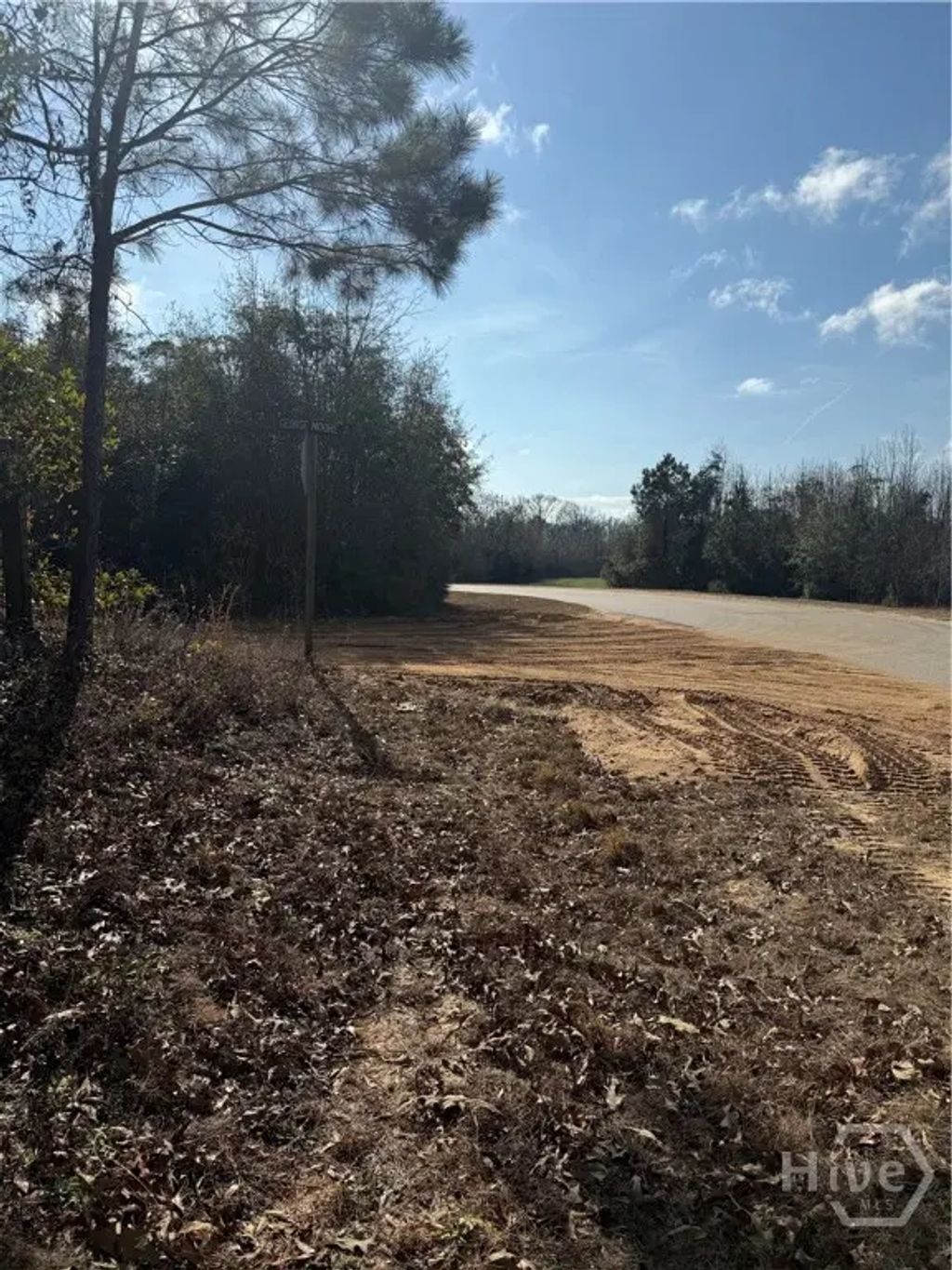 0 George Moore Road, Statesboro