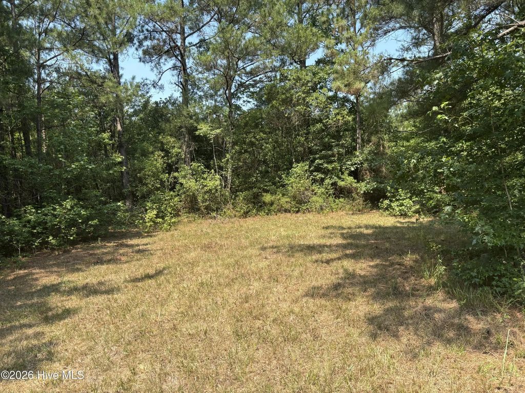1721 Small Town Road, Pink Hill