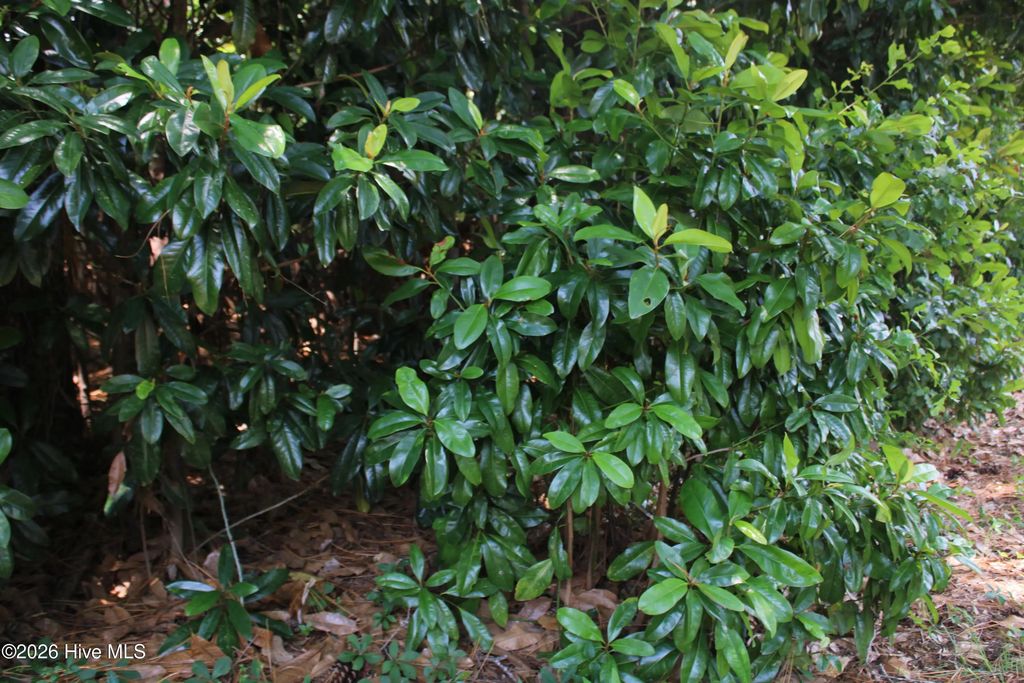 Lot 20 Grant Drive, Goldsboro