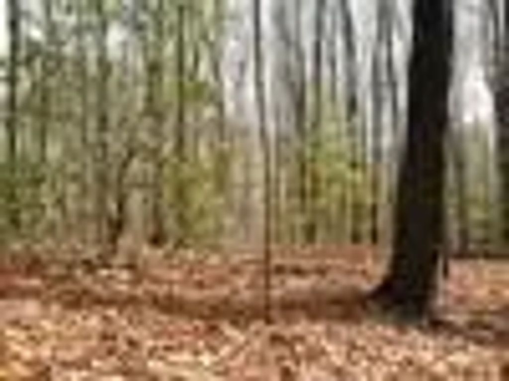 Lot 25 N Laurel Mountain Drive, Brasstown