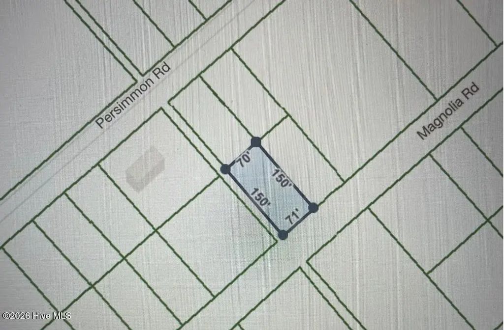 322 Magnolia Road, Boiling Spring Lakes