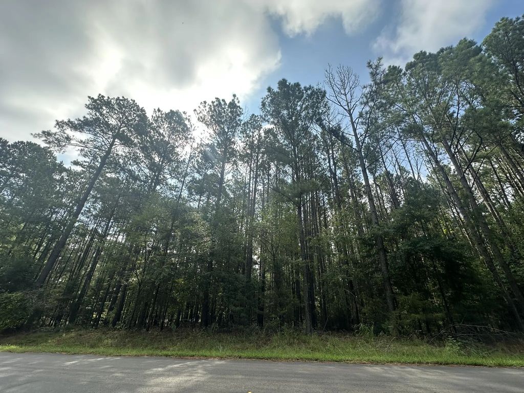 Lot 1 Dogwood Lane, McCormick