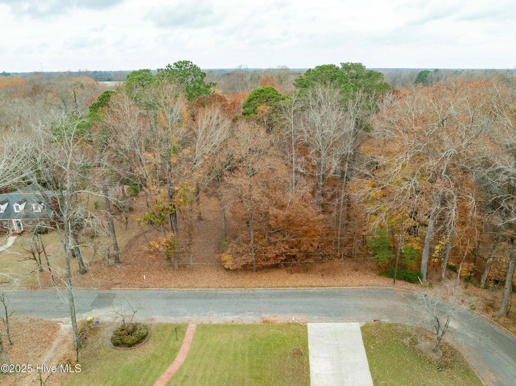 203 W Woodlawn Drive, Williamston