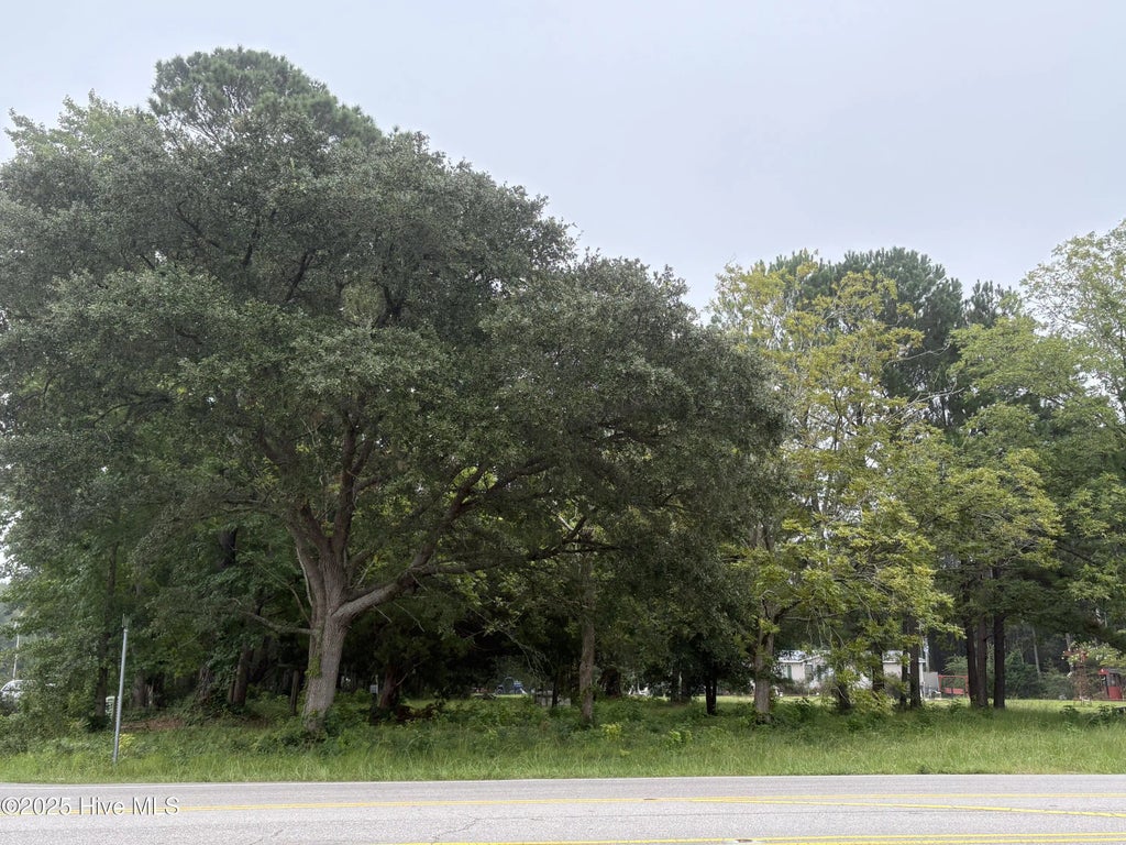 917 Bricklanding Road Sw, Shallotte