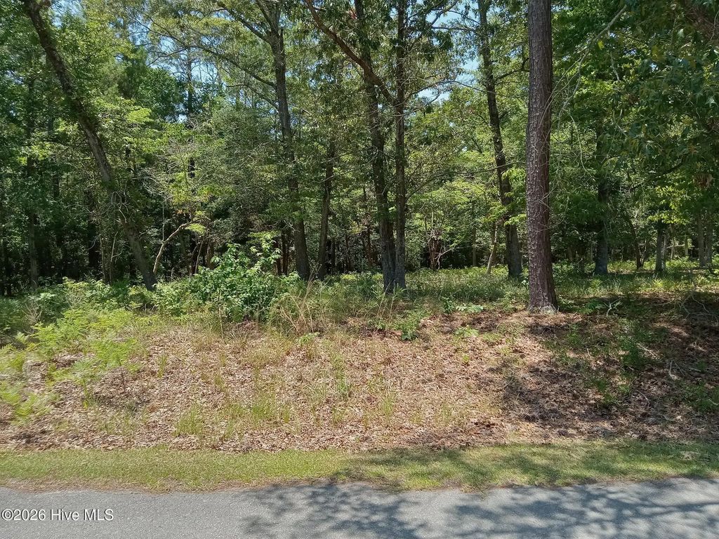 539 River Heights Trace, Shallotte