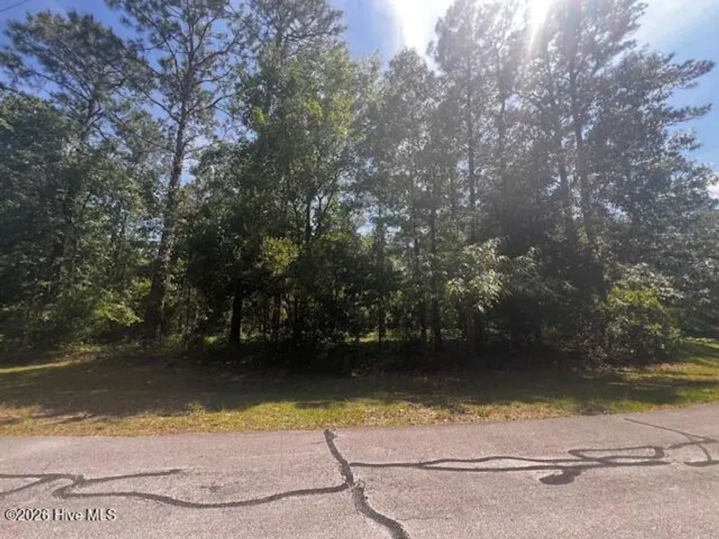 907 Hurricane Court, New Bern
